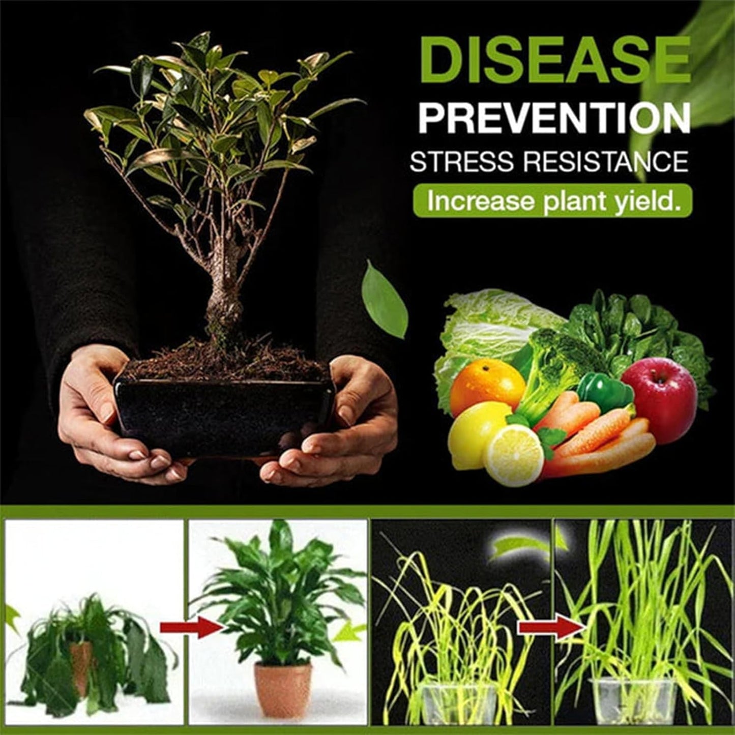 SOIL ACTIVATOR PREMIUM  PACK OF 2 COMBO OFFER 200g+200g🎁🎄