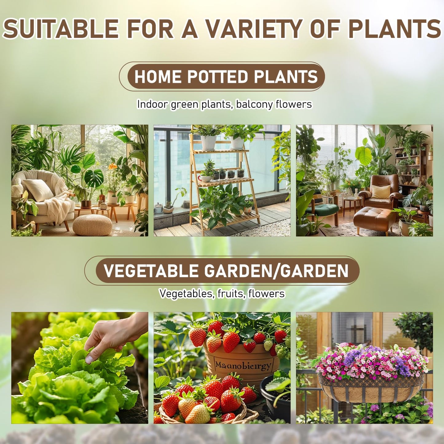 SOIL ACTIVATOR PREMIUM  PACK OF 2 COMBO OFFER 200g+200g🎁🎄